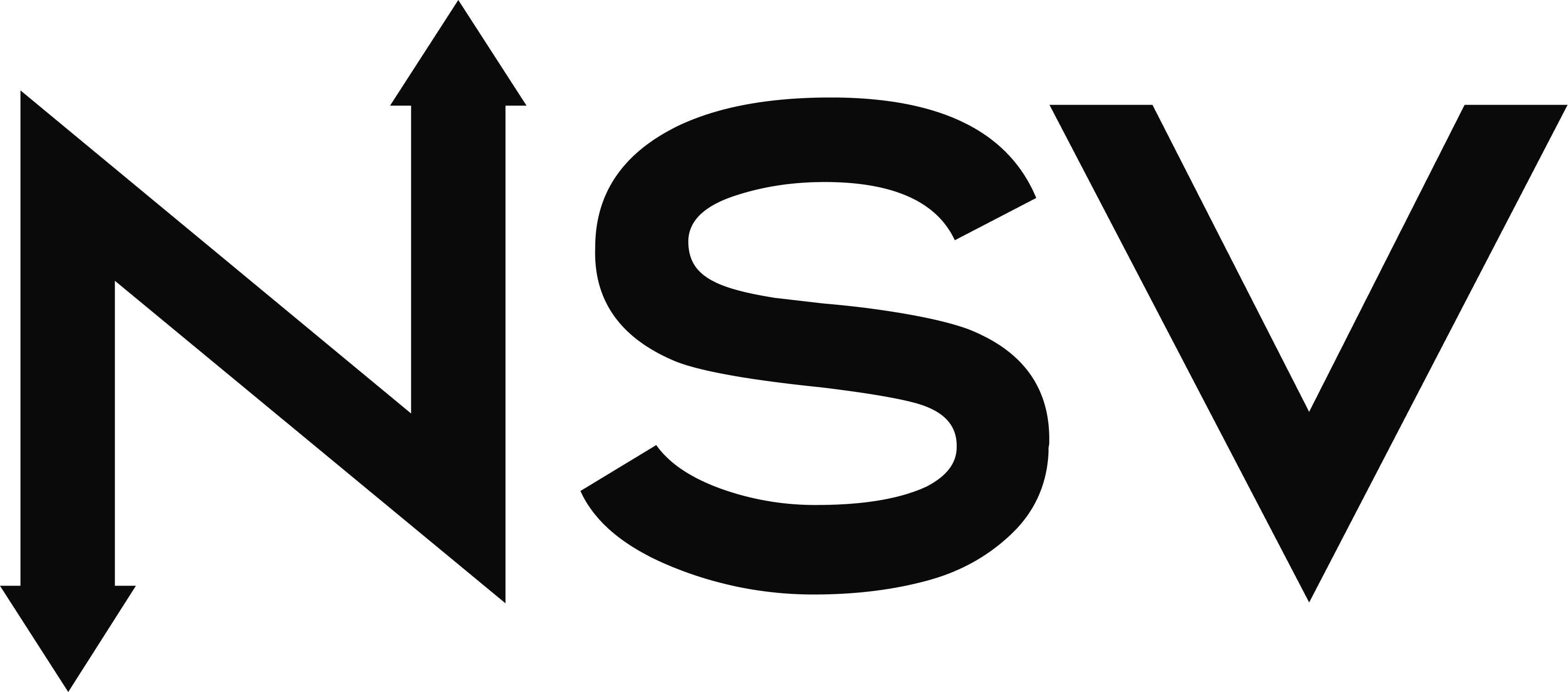 NSV logo
