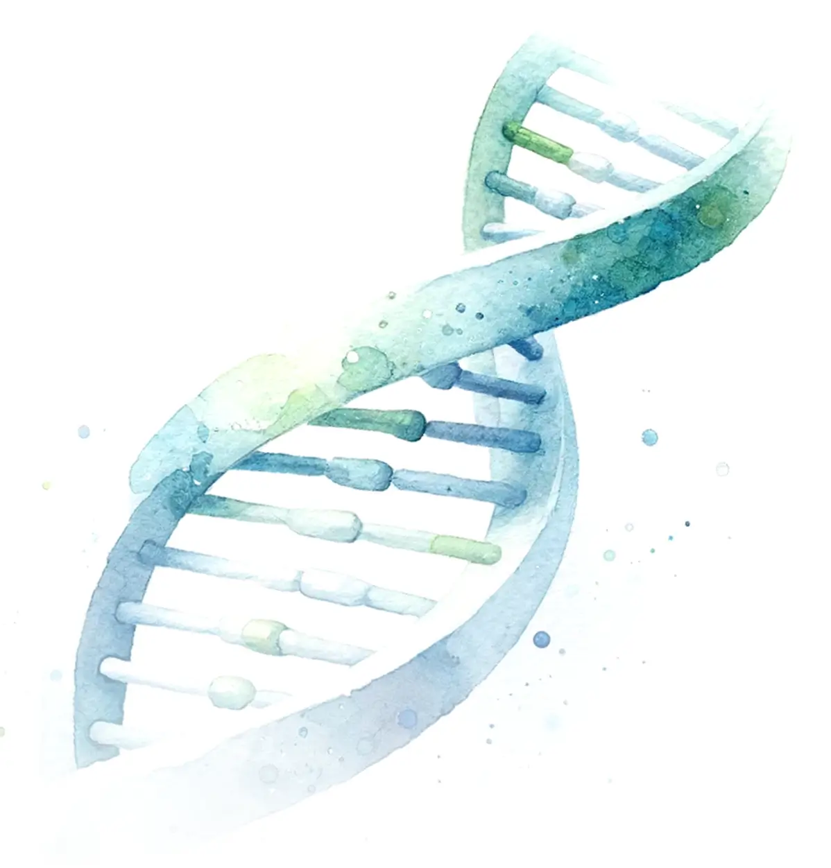 bust photo of David Naylor